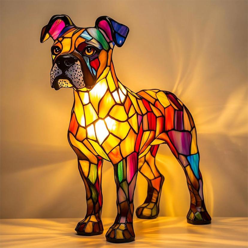 Boxer Aurelia – Gentle LED Glow